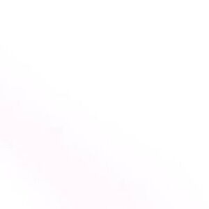 Women’s clothing lot